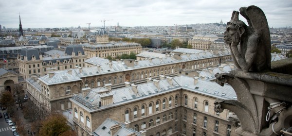 Paris Gargoyle by Nick Stafford